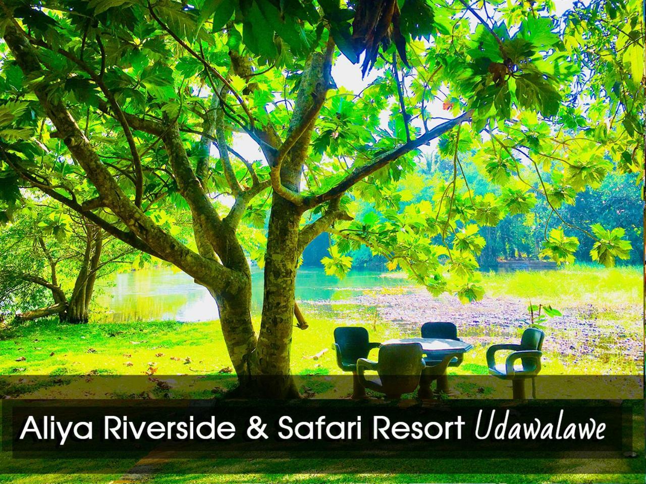 Aliya Riverside & Safari Resort Udawalawe Bagian luar foto