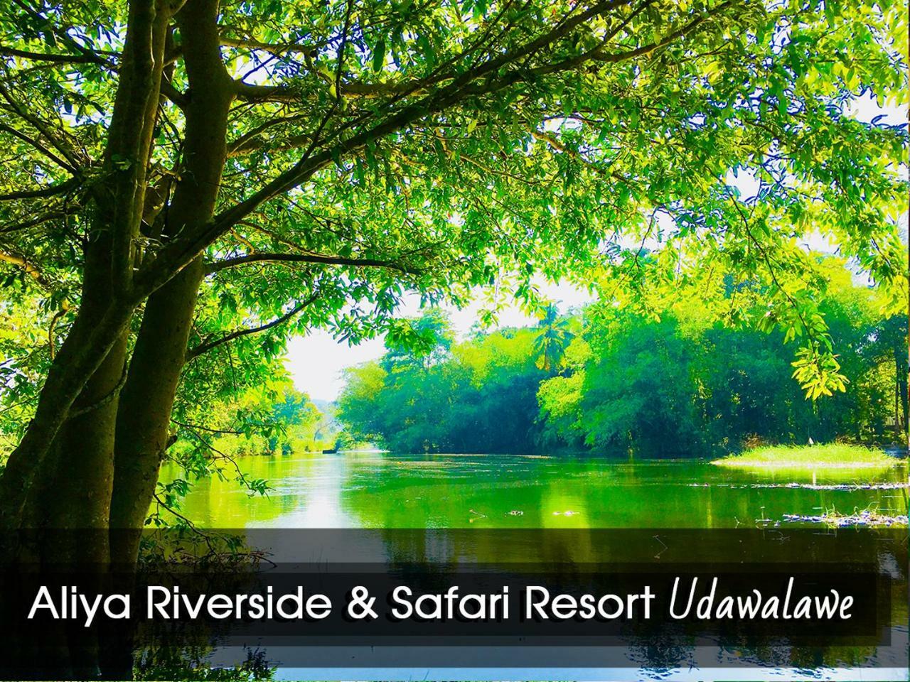 Aliya Riverside & Safari Resort Udawalawe Bagian luar foto