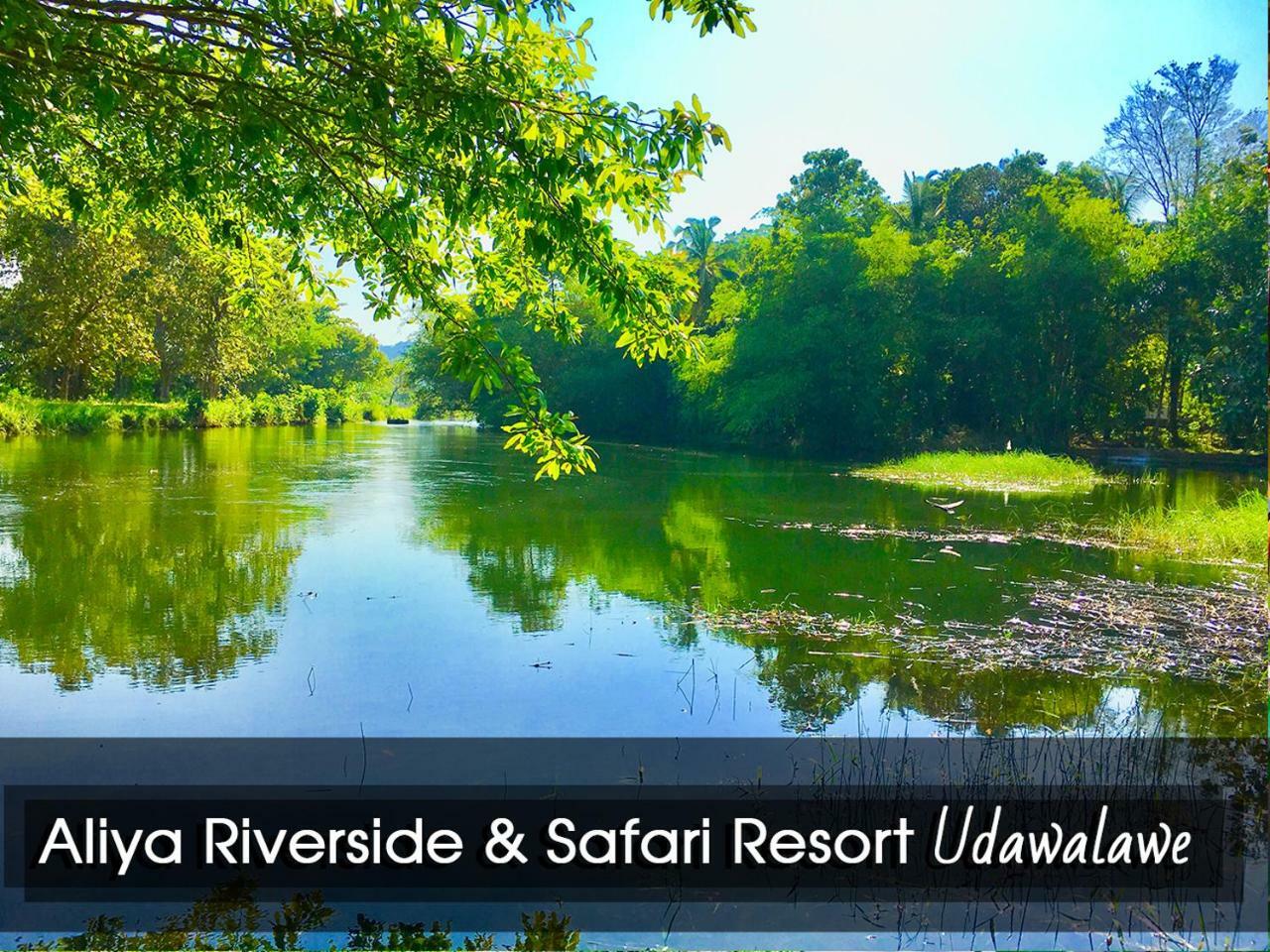 Aliya Riverside & Safari Resort Udawalawe Bagian luar foto