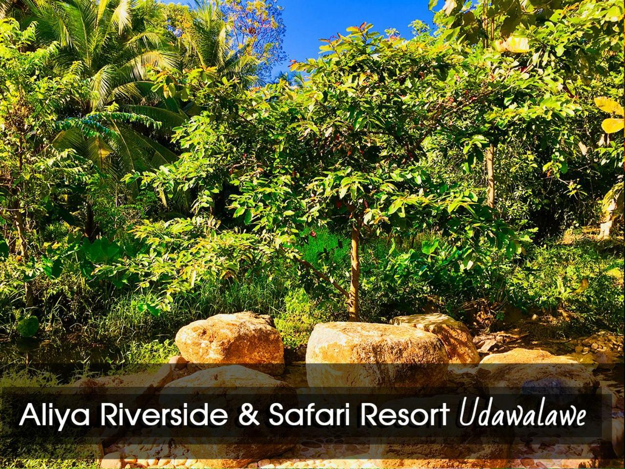 Aliya Riverside & Safari Resort Udawalawe Bagian luar foto