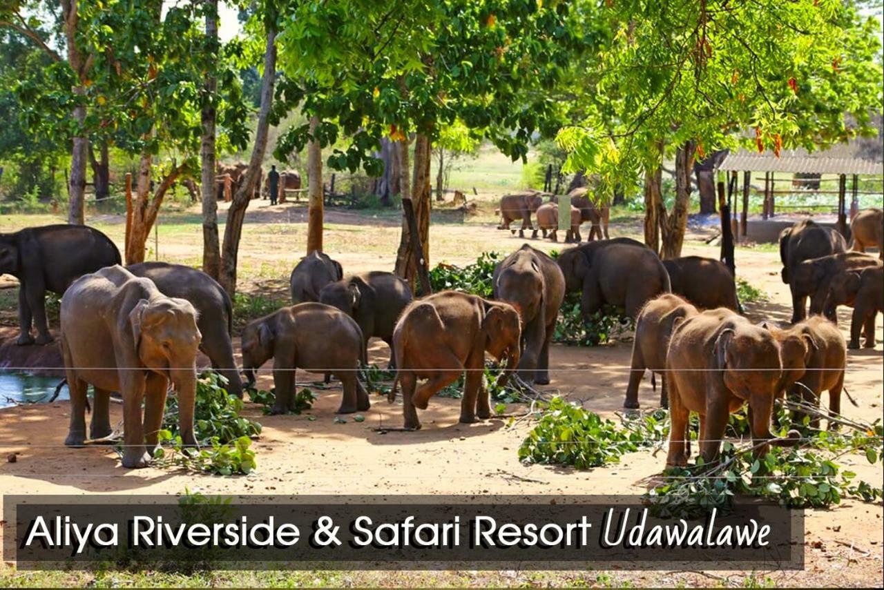 Aliya Riverside & Safari Resort Udawalawe Bagian luar foto