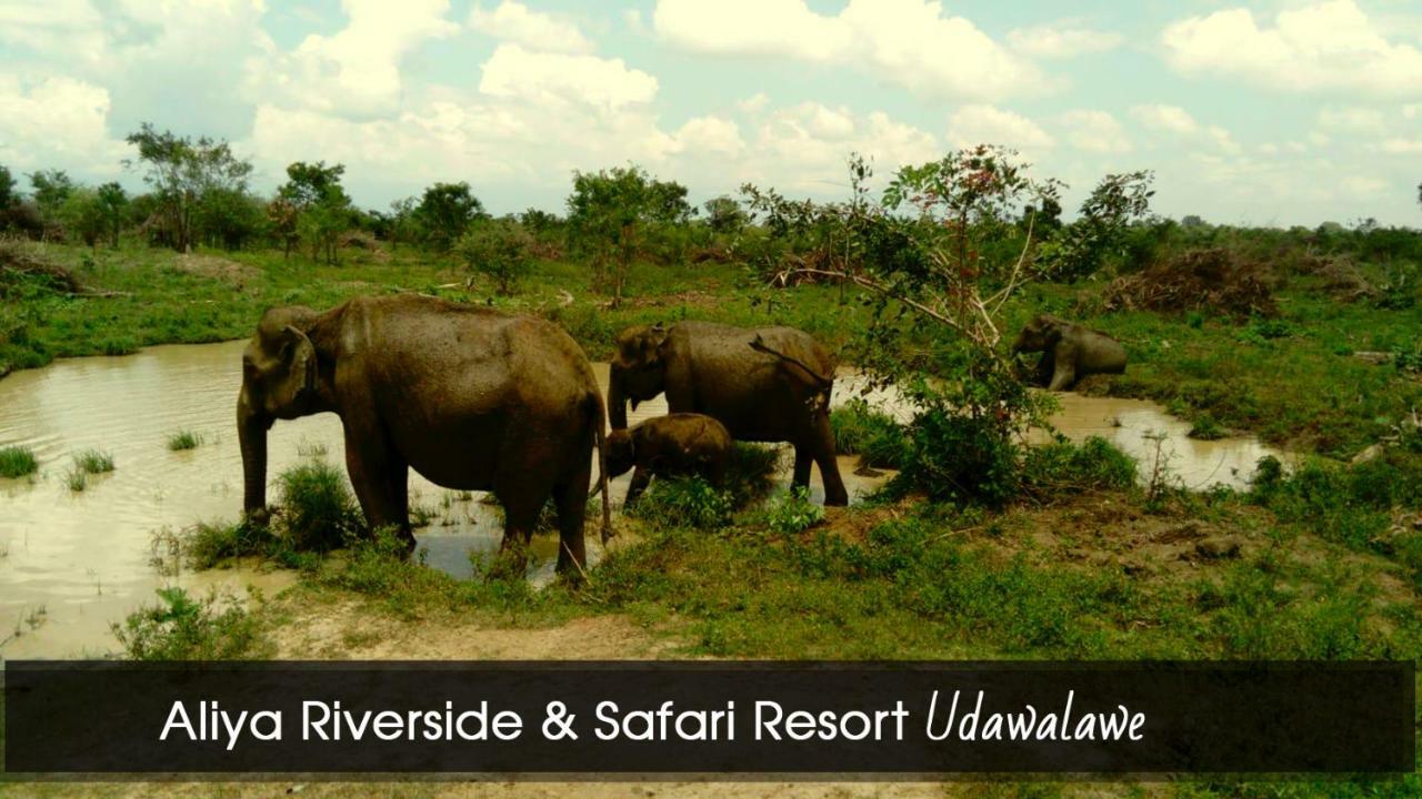 Aliya Riverside & Safari Resort Udawalawe Bagian luar foto