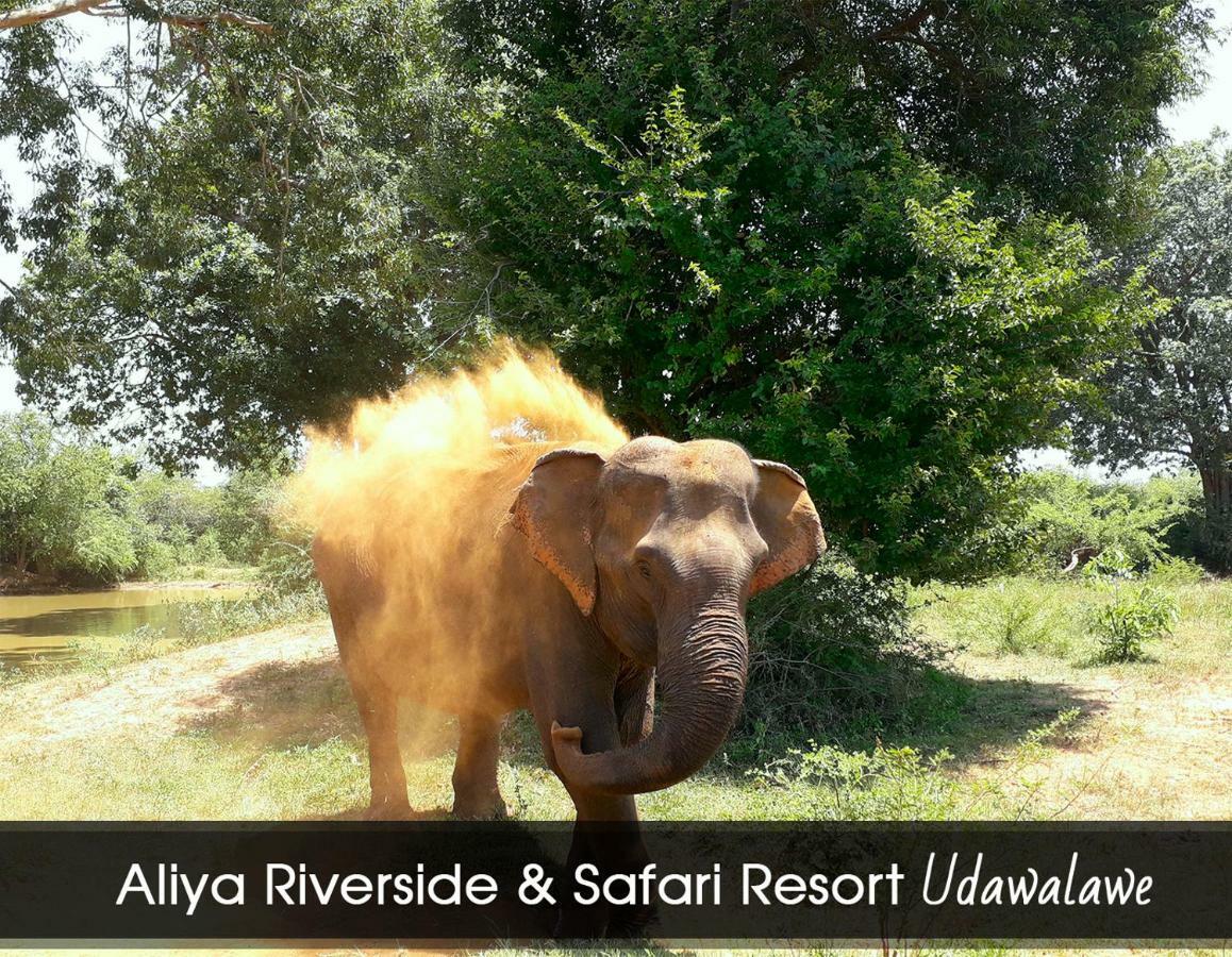 Aliya Riverside & Safari Resort Udawalawe Bagian luar foto