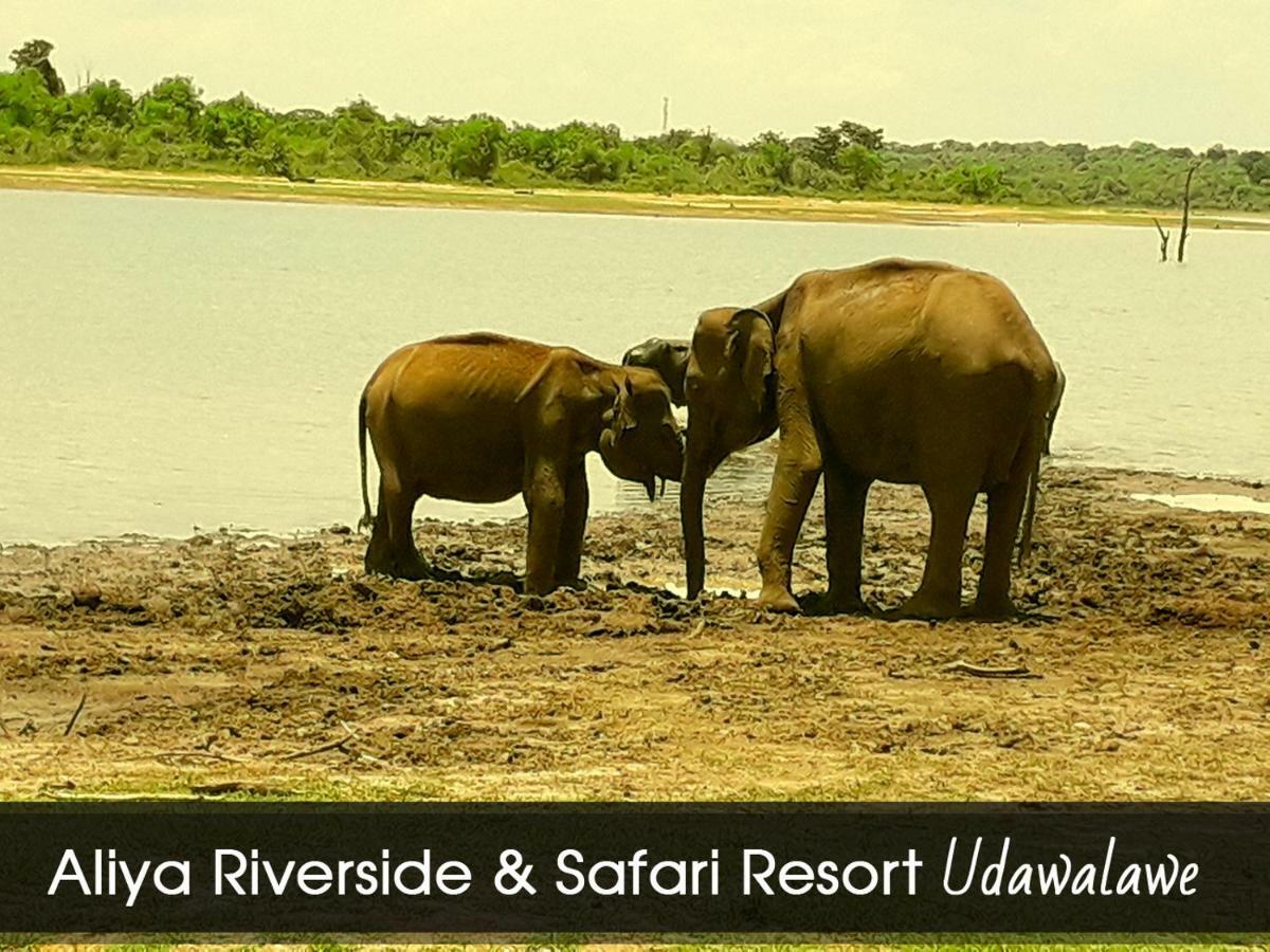 Aliya Riverside & Safari Resort Udawalawe Bagian luar foto