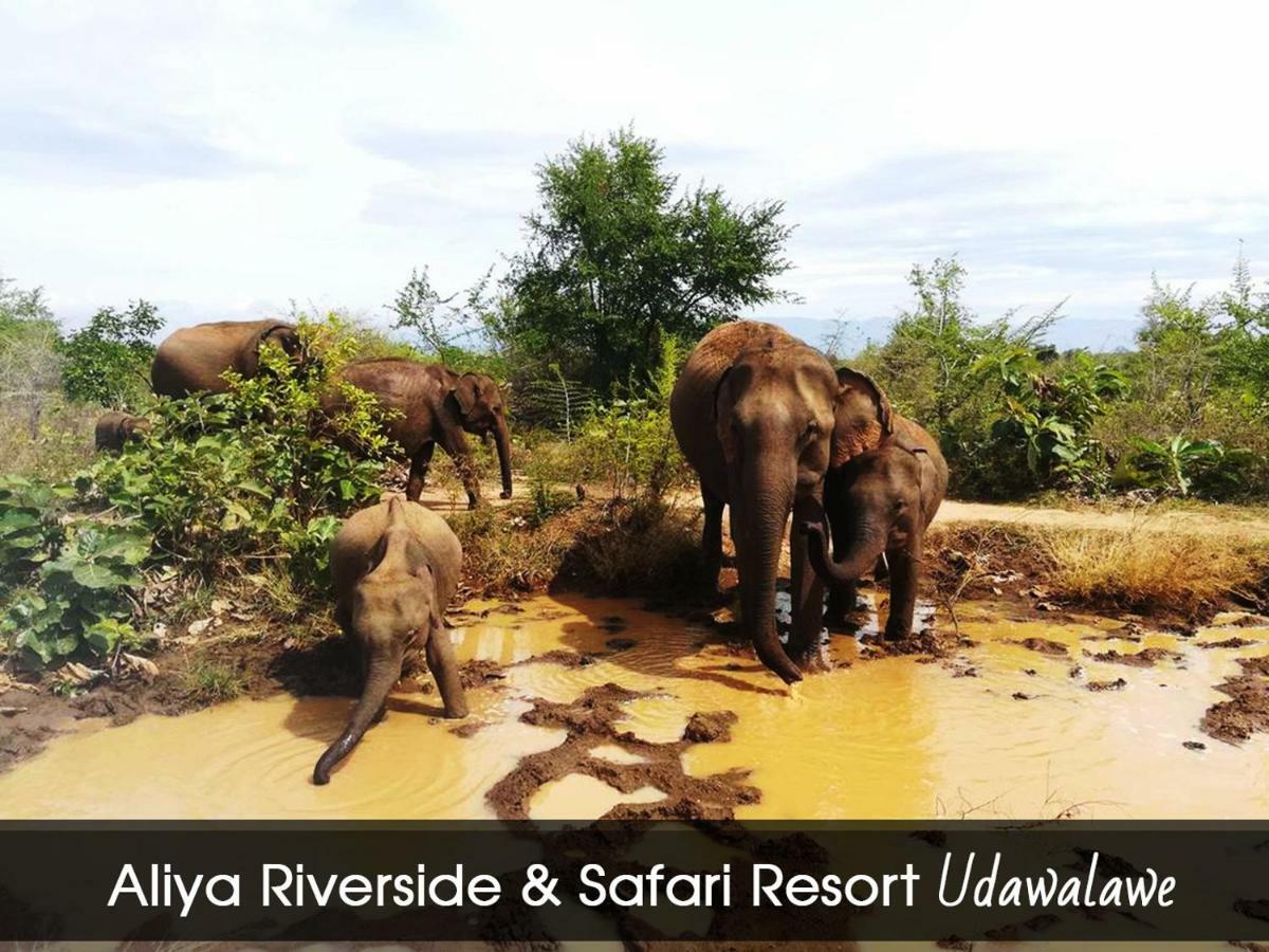 Aliya Riverside & Safari Resort Udawalawe Bagian luar foto