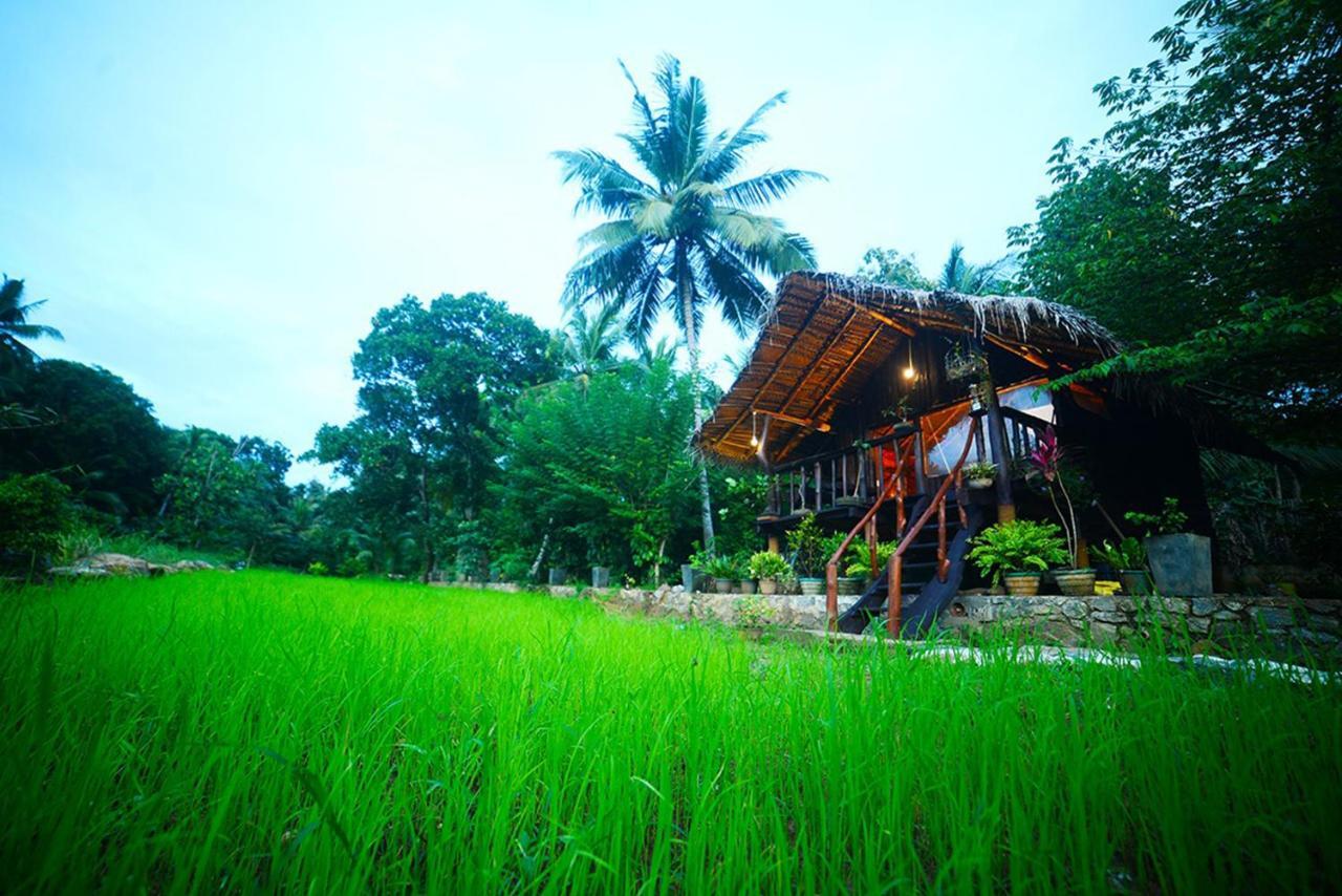 Aliya Riverside & Safari Resort Udawalawe Bagian luar foto